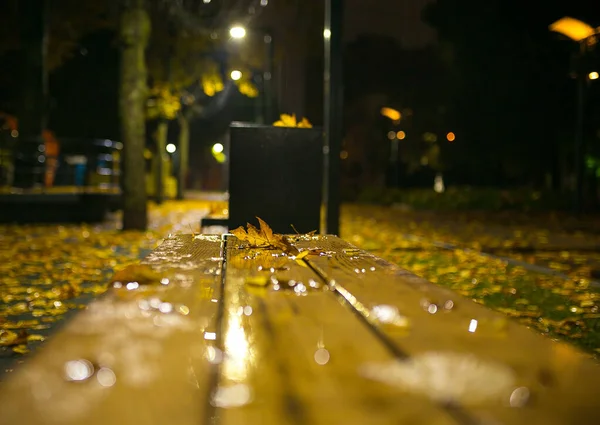 Żółty Opadły Liść Klonu Deszczowy Wieczór Pogoda Drewnianej Planszy Parku — Zdjęcie stockowe