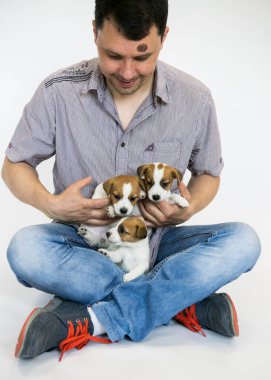 Genç adam, Jack Russell Terrier 'ın kahverengi kulaklı beyaz köpek yavrularıyla oynamayı seviyor. Eğer böyle yavrularınız varsa, karantina ve tecrit süresince onlarla zevkle iletişim kurun..