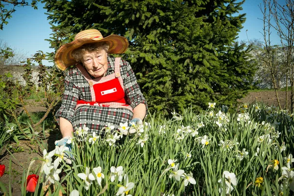 Urocza Staruszka Pozytywne Emocje Starej Kobiety Ogrodzie Tle Świerku Trawników — Zdjęcie stockowe