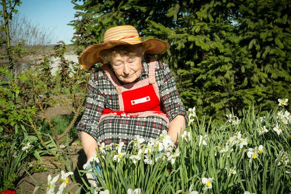 Urocza Staruszka Pozytywne Emocje Starej Kobiety Ogrodzie Tle Świerku Trawników — Zdjęcie stockowe
