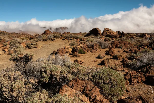 Clouds Frozen Lava Teide Volcano Island Tenerife Canary Islands — Stock Photo, Image