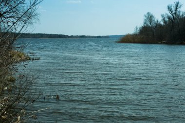 Sonbahar mavi soğuk nehir yapraksız bitkilerle
