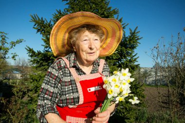 Norveç fitili bir buz dağının arka planına karşı alçak kayalıklarda