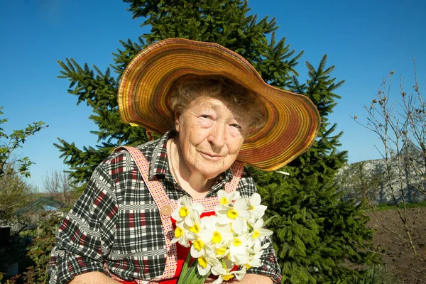 Urocza Staruszka Starsza Kobieta Bukietem Żonkili Którą Sama Wychowała — Zdjęcie stockowe