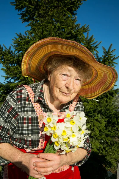 Charming old woman. An old woman with a bouquet of daffodils, which she raised herself.