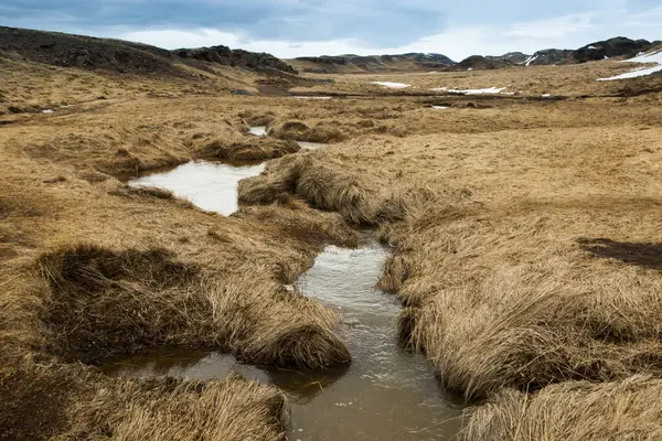 Річка Долинах Ісландії — стокове фото