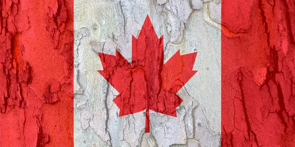 Canada Vlag Schors Textuur Achtergrond Achtergrond Voor Wenskaarten Voor Feestdagen — Stockfoto