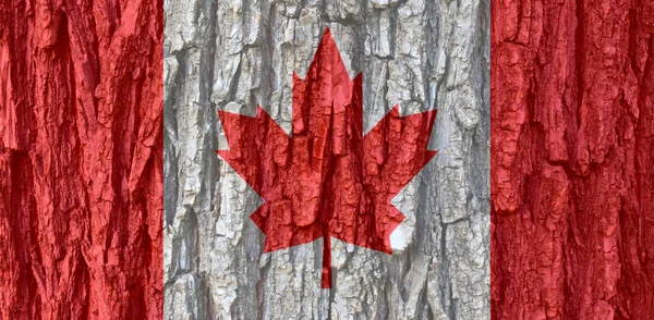 Bandeira Canadá Fundo Textura Casca Antecedentes Para Cartões Felicitações Para — Fotografia de Stock