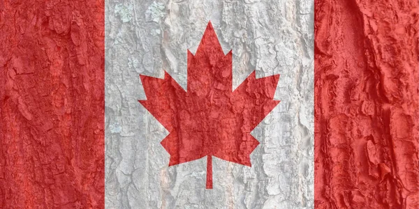 Флаг Канады Фоне Коры Текстуры Предпосылки Поздравительных Открыток Праздничные Дни — стоковое фото