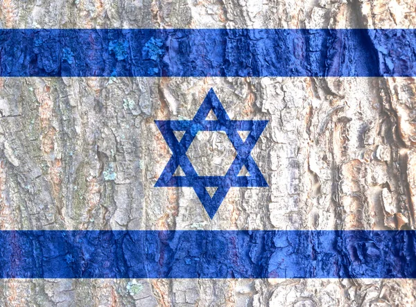 Israel flag on bark texture background. Background for greeting cards for public holidays of Israel. Memorial Day. Independence Day. Victory Day over Nazism. Jerusalem Day