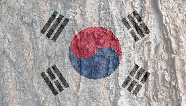 Kabuk Dokusunda Güney Kore Bayrağı Kore Cumhuriyeti Nin Resmi Bayramları — Stok fotoğraf