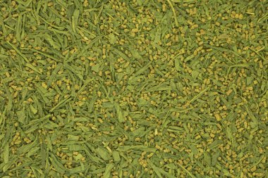 Japon çayı. Kızarmış pirinçli kibrit yeşil çay. Çay arkaplanı, doku. Etiket veya tasarım için boşluk.