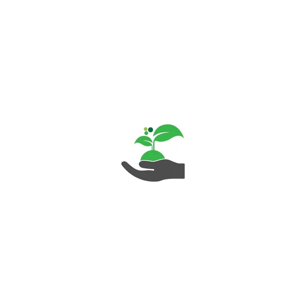 Plantilla Vector Logo Farmacia — Vector de stock