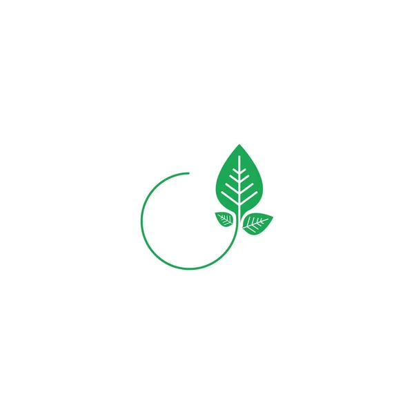 Yaprak simgesi logo şablonu çizimi