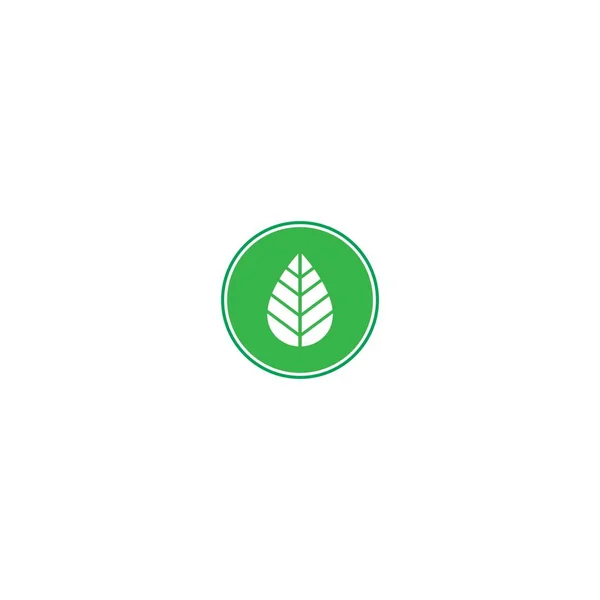 Blatt Symbol Logo Vorlage Illustration — Stockvektor