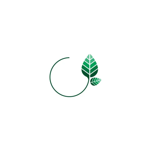 Yaprak simgesi logo şablonu çizimi