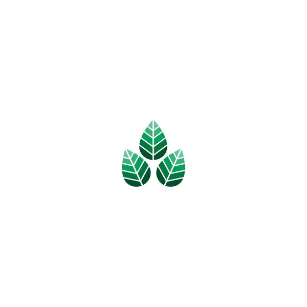 Leaf Icon Logo Template Illustration — Stock Vector