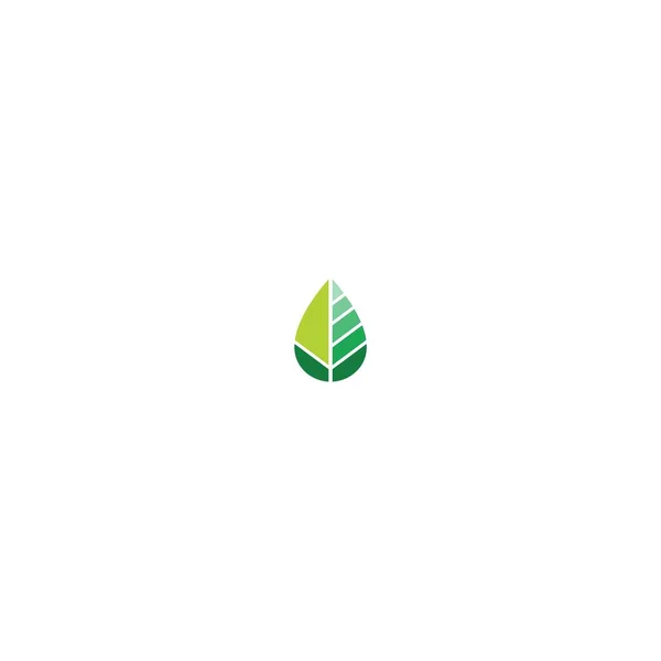 Yaprak simgesi logo şablonu çizimi
