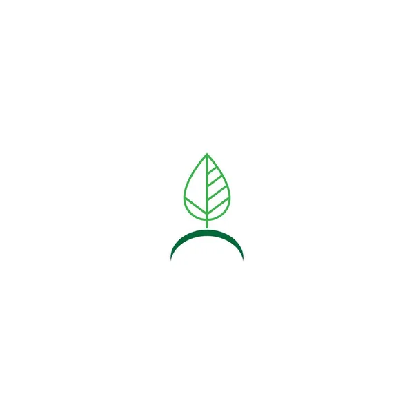 葉のアイコンロゴテンプレートイラスト — ストックベクタ