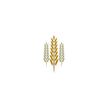 Pirinç logosu konsepti
