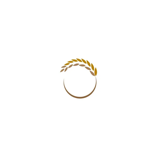 Rijst Logo Icoon Concept — Stockvector