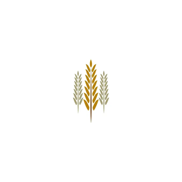 米ロゴのアイコンコンセプト — ストックベクタ