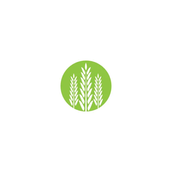 Pojęcie Ikony Logo Ryżu — Wektor stockowy