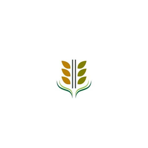 Концепция Логотипа Риса — стоковый вектор