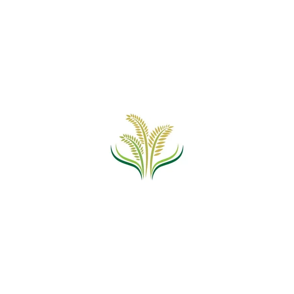 Rijst Logo Icoon Concept — Stockvector