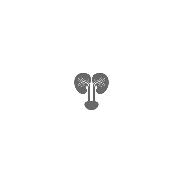 Urologie Logo Nier Logo Pictogram Gezondheids Illustratie — Stockvector