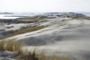 Terschelling Beach