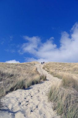 beach and dunes in blue sky Terschelling, The Netherlands clipart