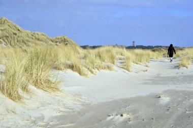 plaj Terschelling Hollanda