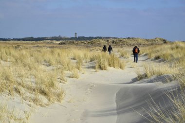 beach Terschelling the Netherlands clipart