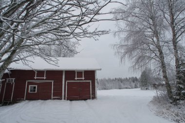 kırmızı kar ahırda