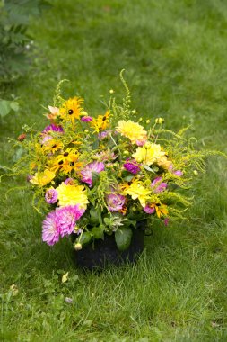 Bahçe buket annuals