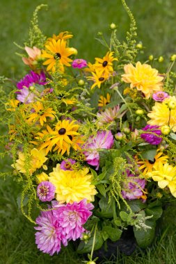 Bahçe buket annuals