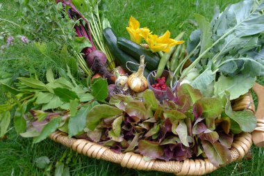 taze sebze Bahçe IA bir sepet