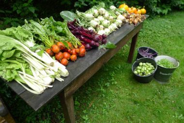 bir bahçe masaya bahçeden taze sebze