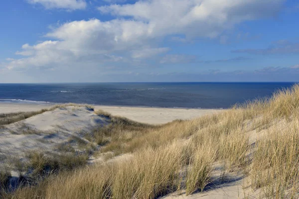 Spiaggia di Terschelling — Foto Stock