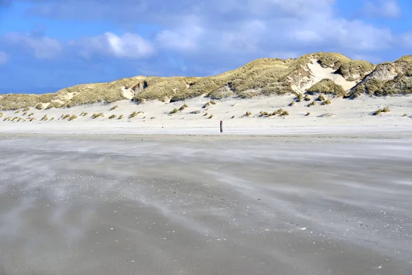 Beach Terschelling — Stock Fotó