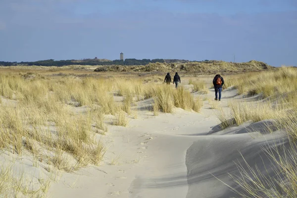 Пляж Terschelling Нідерландів — стокове фото