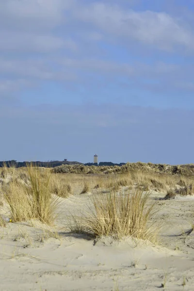 Пляж Terschelling Нідерландів — стокове фото