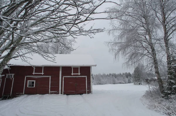 kırmızı kar ahırda
