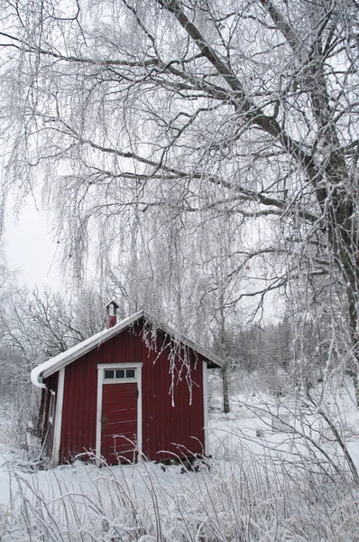 kırmızı kar ahırda