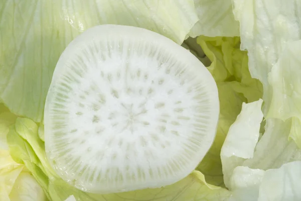 Cut radish in salad — Stock Photo, Image