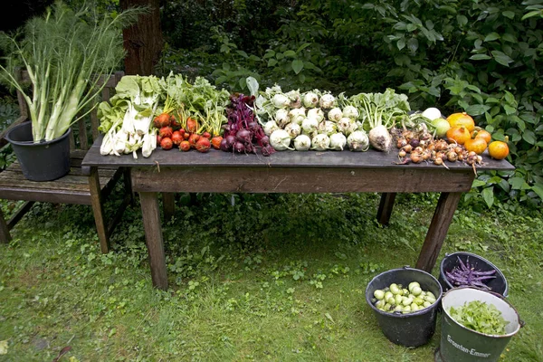 Hortalizas frescas del jardín sobre una mesa de jardín — Foto de Stock