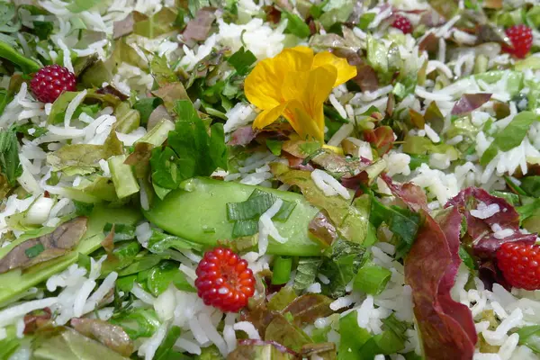 Salada fresca com amoreira — Fotografia de Stock