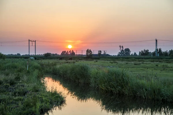 Поїзд у заході сонця — стокове фото