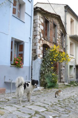 Pitoresk kasaba, Vigla, Lesvos Adası, Yunanistan